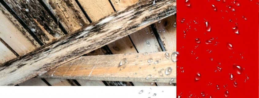 конденсат на чердаке