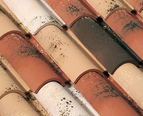 монье галиан 10