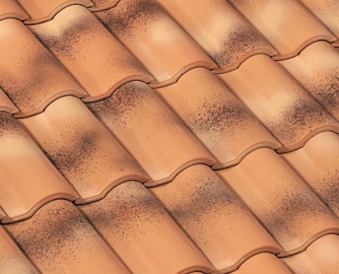 монье роман охра