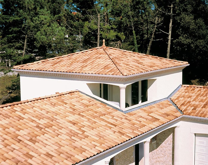 черепица монье роман