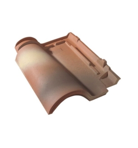 монье роман 13