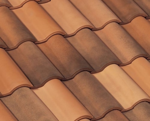 монье роман медный