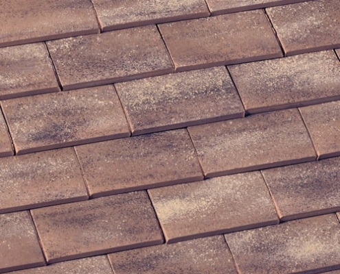 монье шато горчичный